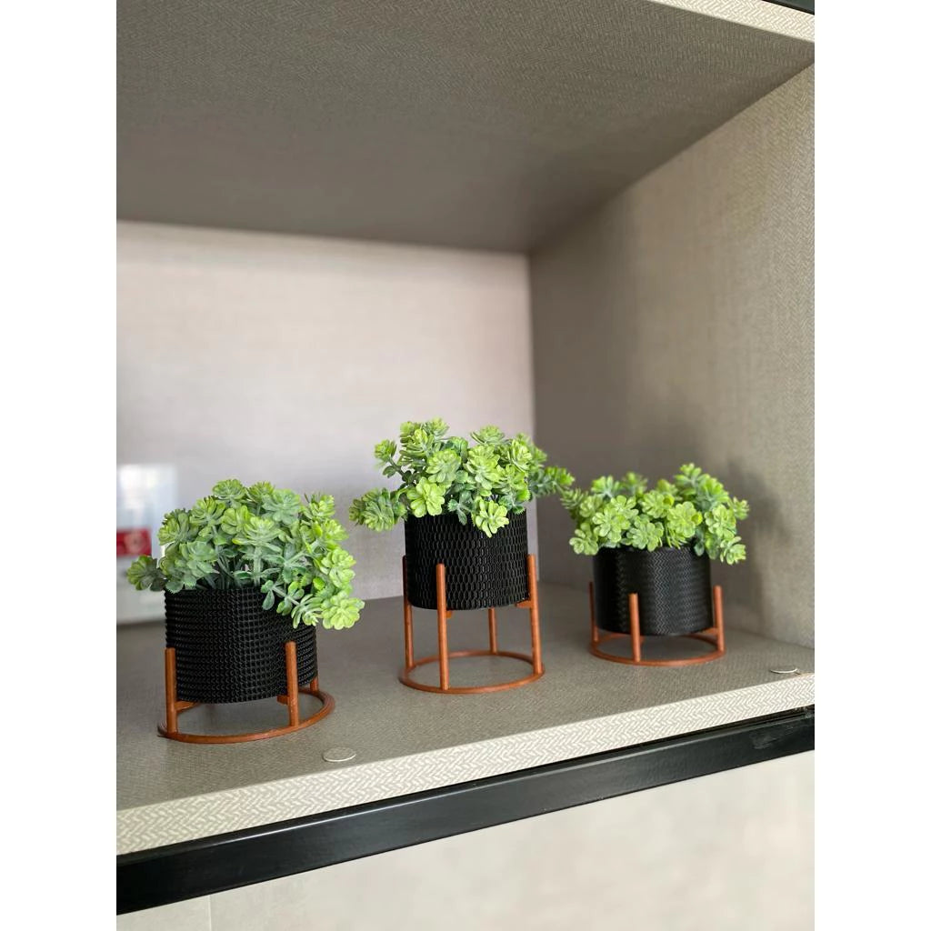 Kit 3 Vasos Mini com Suporte - Home Premium Brasil