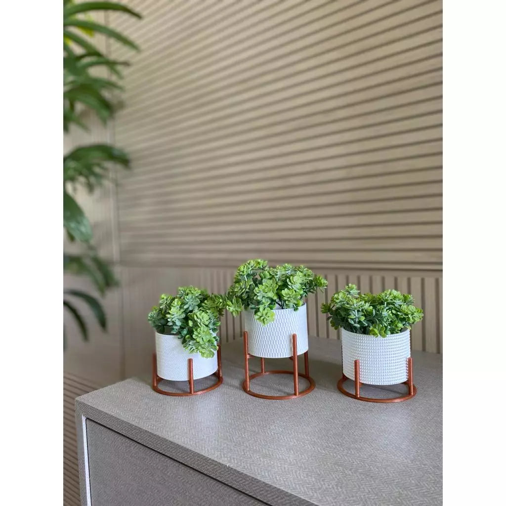 Kit 3 Vasos Mini com Suporte - Home Premium Brasil