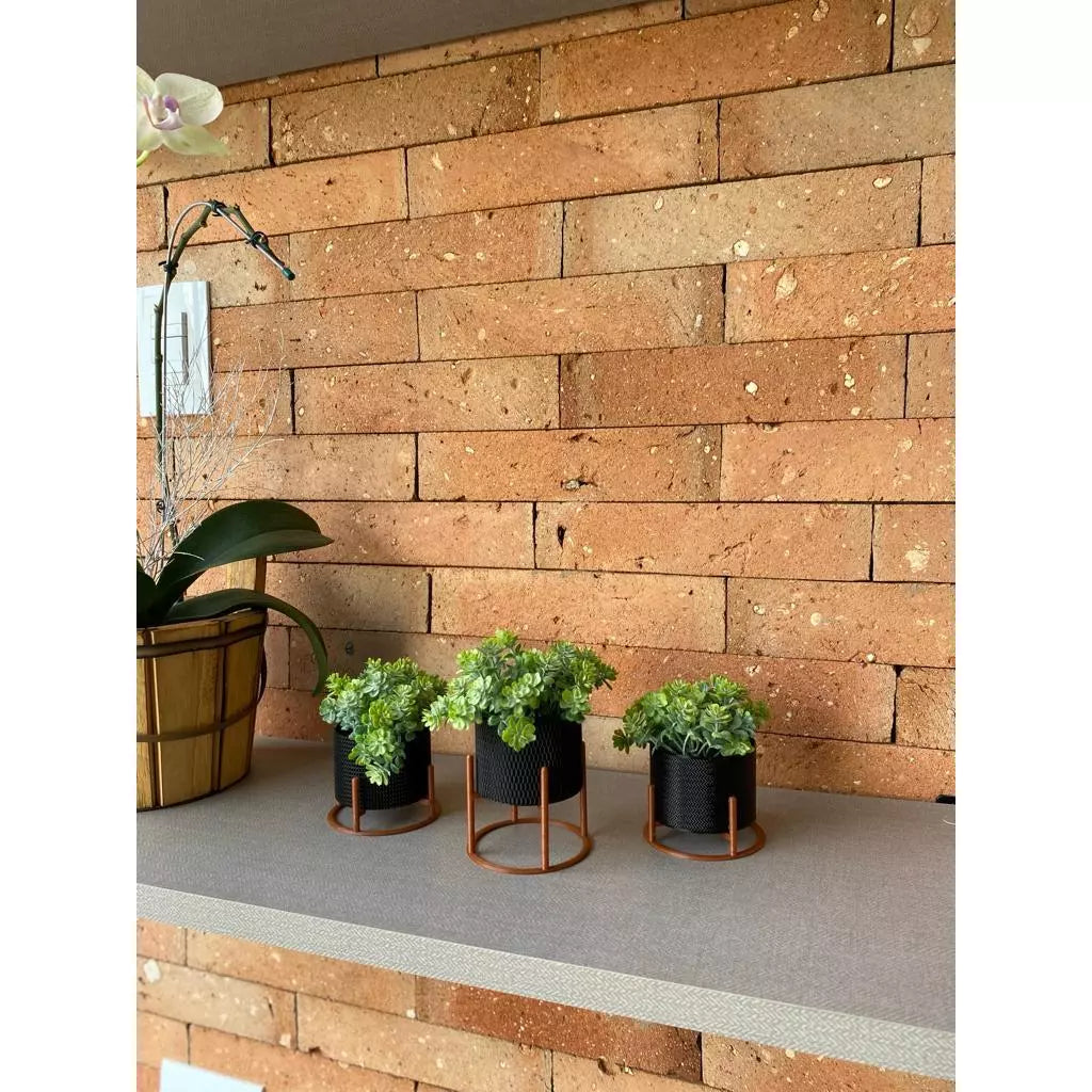 Kit 3 Vasos Mini com Suporte - Home Premium Brasil